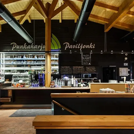 אתר נופש Punkaharju Resort פונקהריו