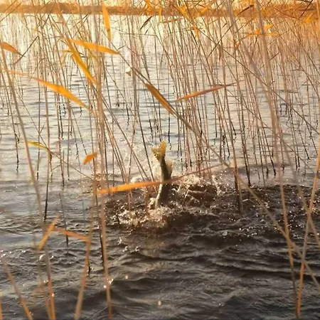 Punkaharju Resort Üdülőközpont 4*