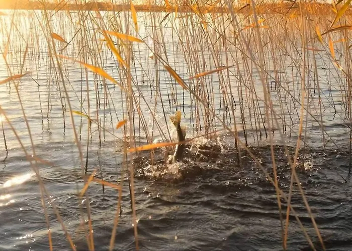 Punkaharju Resort Resort 4*